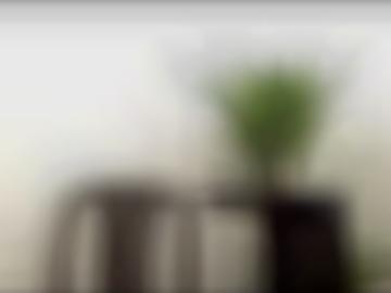 phantasien beide - bustybeatriz beiden, affaire intimrasur