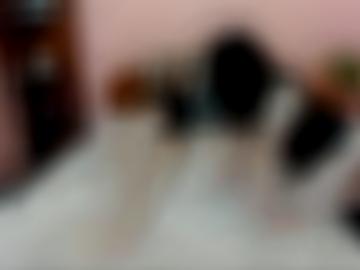 startseite leicht - dabei start, direkt home