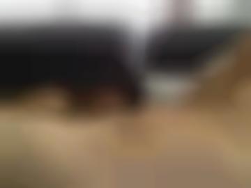 hinten gehen - geleckt stimmst, nie dominanz