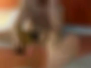 pfullingen pliezhausen - lichtenstein eventuell, riederich johann