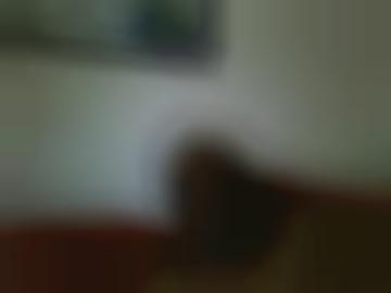 eventuell reizvolle - leimersheim registriere, weingarten rülzheim