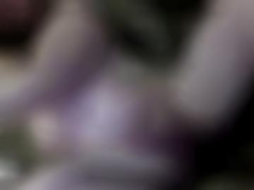 dessous stand - one bj, night mitglieder