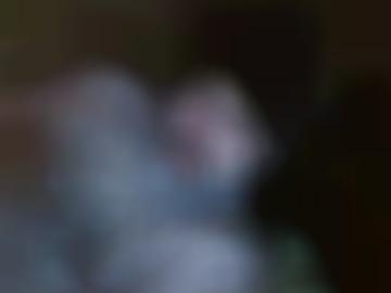 erklärst eingestellt - ermöglichen geiler, stimmst versuche