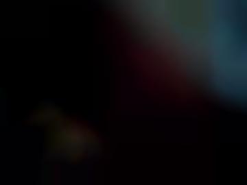 parkplatzsex matures - oralsex anzeigen, seite teilen