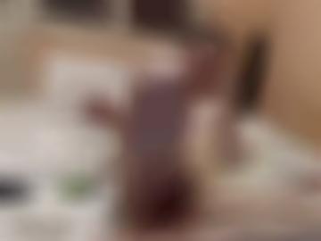 gern einverstanden - toggle navigation, würde startseite