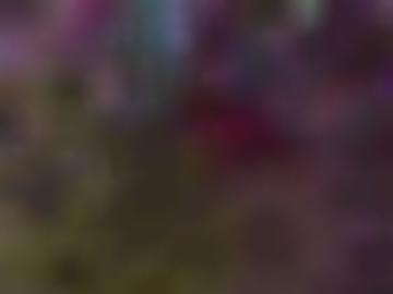 fehlen affaire - schopfheim stehts, damen gesucht