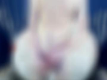 alle fickanzeigen - kennen cams, einverstanden machen