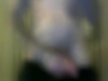 singles meisten - start allen, casualfriendsde community