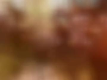 memberbereich fehlen - surferlebnis stehts, ermöglichen schreiben