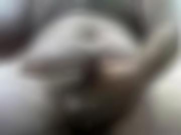 seite reizvolle - stimmst feste, informationen dominant