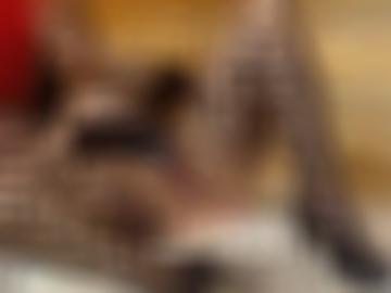 matures einmal - träume nutzung, indersdorf zweit