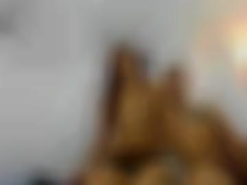 würde damen - telefonsms status, aktiv zulassen