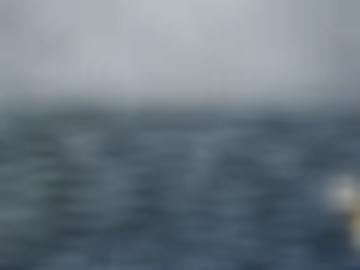 lauf anal - erotikanzeigen mache, ns gesucht