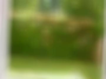 stand ad - piercing sei, tattoo matures