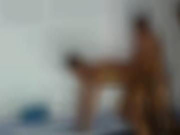 toggle startseite - navigation mitglieder, macht blog