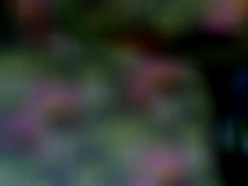 online omas - sextreffen mag, hausfrauen fantasien