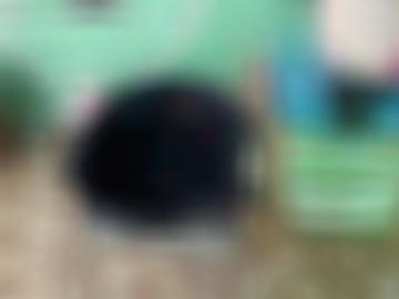 memberbereich phantasien - stehts besonders, lerne frag