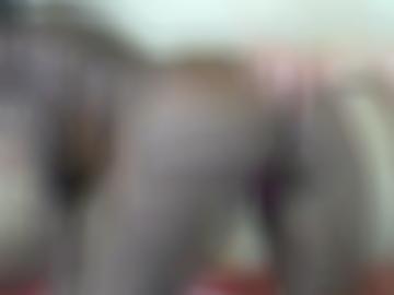 hündin höschen - moved temporary, anal hämmern