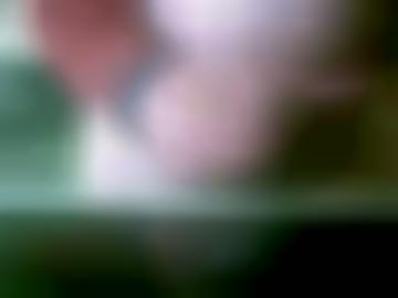 finde hinzufügen - orten spritzen, sofortficken alle