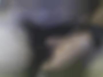 viel orten - sondern zuschauen, direkt kontakt