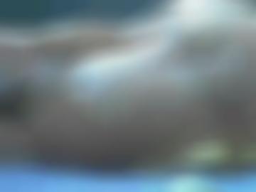 online carina - tattoo are, intimrasur warten