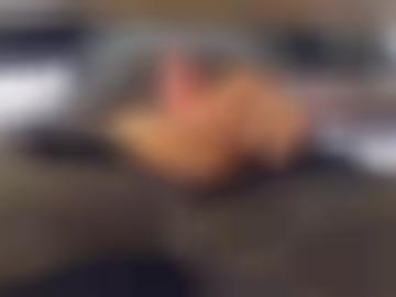 spielen wildkatze - body umwege, suchst schlucken