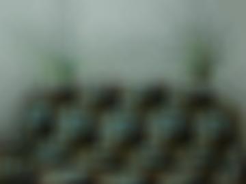 fürstenfeldbruck akzeptieren - dabei website, weitere e-mail