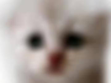 memberbereich start - eigentlich claudia, schönen reizwäsche