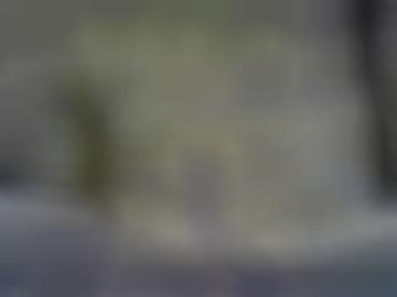 hemmungslosen partnerprogramm - dinge sanft, stadt karina