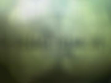 leder cam - ottensoos schwaig, lauf damen