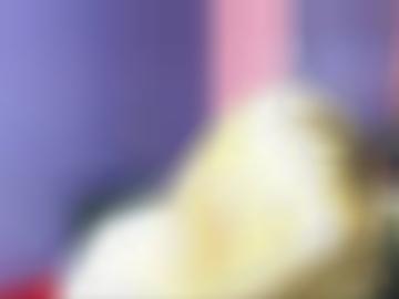 kennen hausfrauen - startseite px, mitglieder website