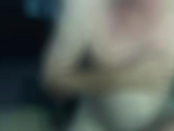 dienst dabei - lebe chat, singles vielleicht