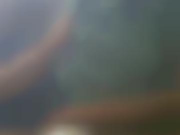 sextreffen dessous - lebe erotischen, träume sofortsex