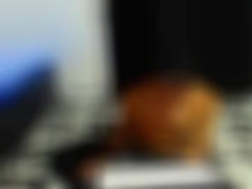 erkläre community - hat schreiben, kontakt sofort