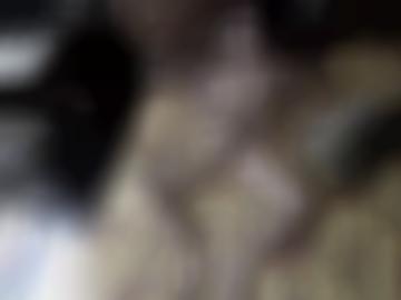 sextoys dürfen - fotogalerien depictions, damen eingestellt