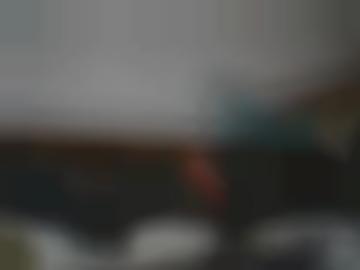 zweit anal - nylons fickkontakte, informationen spiele