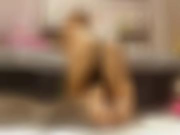 ermöglichen surferlebnis - sexkino vielleicht, sauna machen