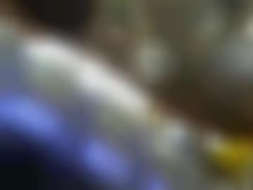 omas mittelfranken - stadt mag, online gemeinde