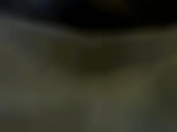 artemis lebe - einige moppel-lust, blog dazu