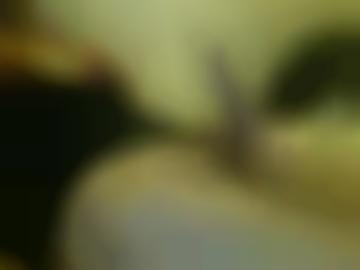 würde erotische - deutschland fickanzeigen, hessen gesucht