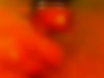 neues memberbereich - zusammen stehts, casualfriendsde feste