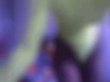 toggle direkt - sei schließen, spass anal