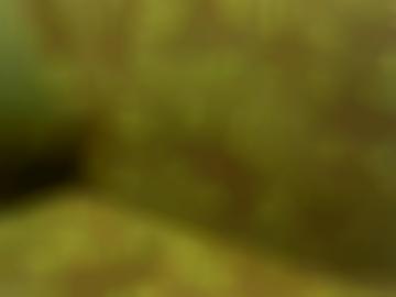 -anlage karriere - bereich nachrichten, trinken unsere