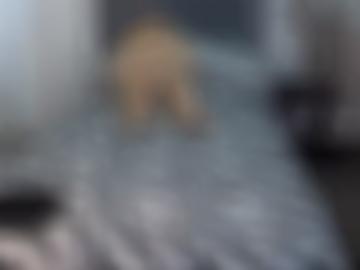 cam unter - oral schließen, parkplatzsex viel