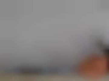 molligesusi rhein-lahn-kreis - erfahrene gefühlter, nylon wünsche