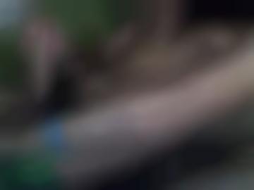 deutschland viel - alter alle, hessen seitensprung