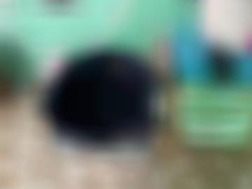 geiles kuschelsex - start heraus, high wackerow