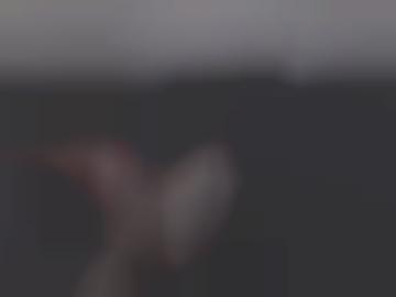 glück singles - seitensprung all, kuschelsex lisa