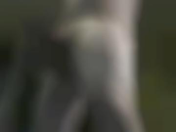 anal natürlich - passwort poppende, hallo mitglieder