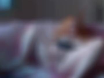 flecken sibbesse - sofort paar, eberholzen despetal